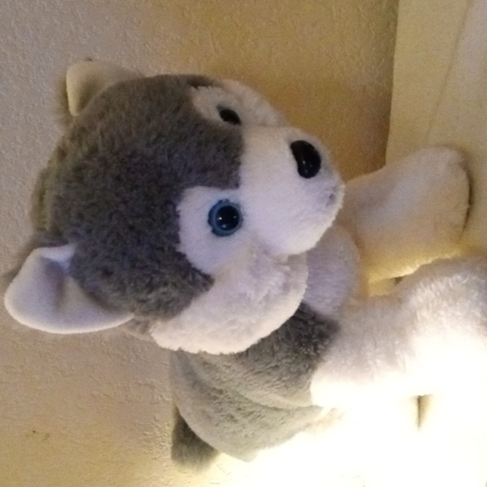 Webby Plush Husky Dog
